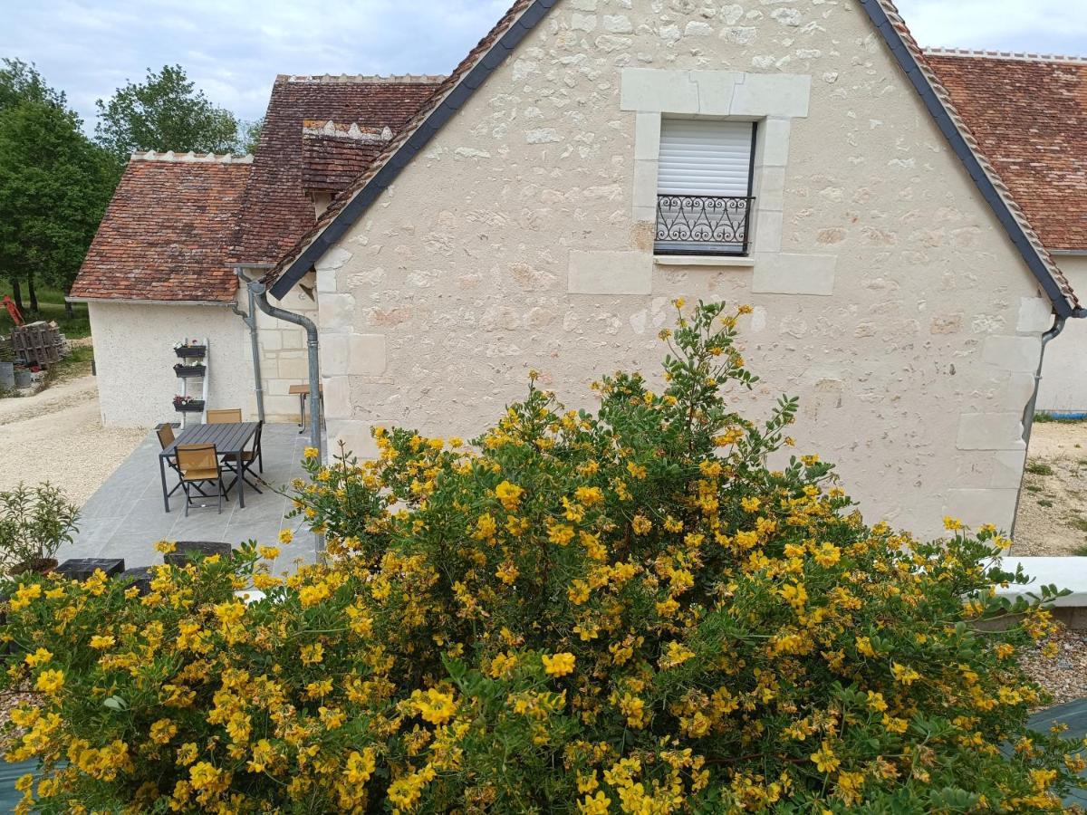 Gite De La Grand Maison Le Noyer Seigy Bagian luar foto